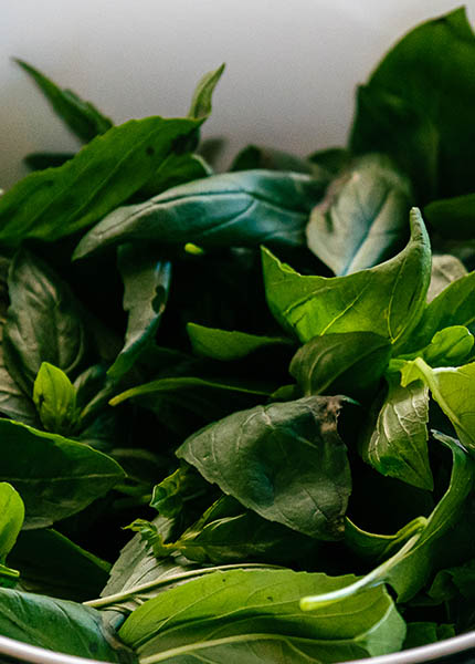 gaia-side-image- (1)