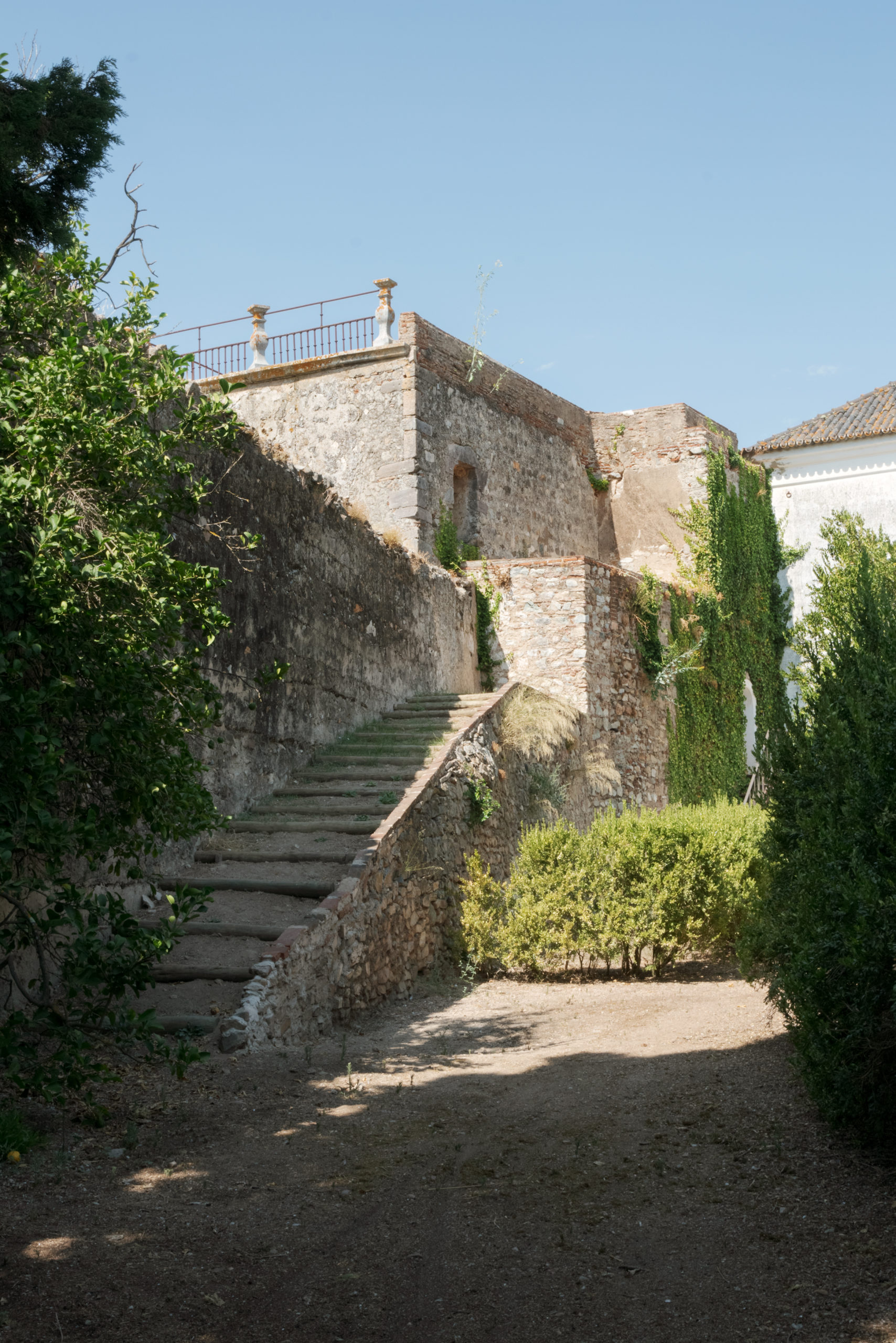 Jardim - Palácio Ficalho